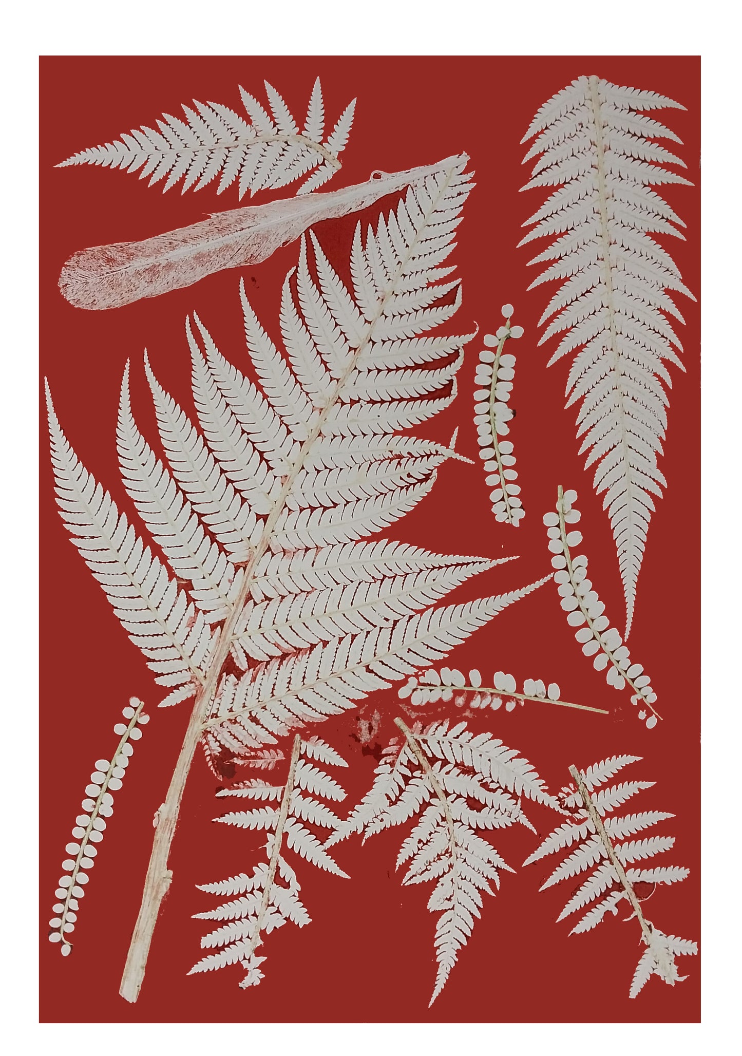 Beginners Found Object Printing - Workshop for Two