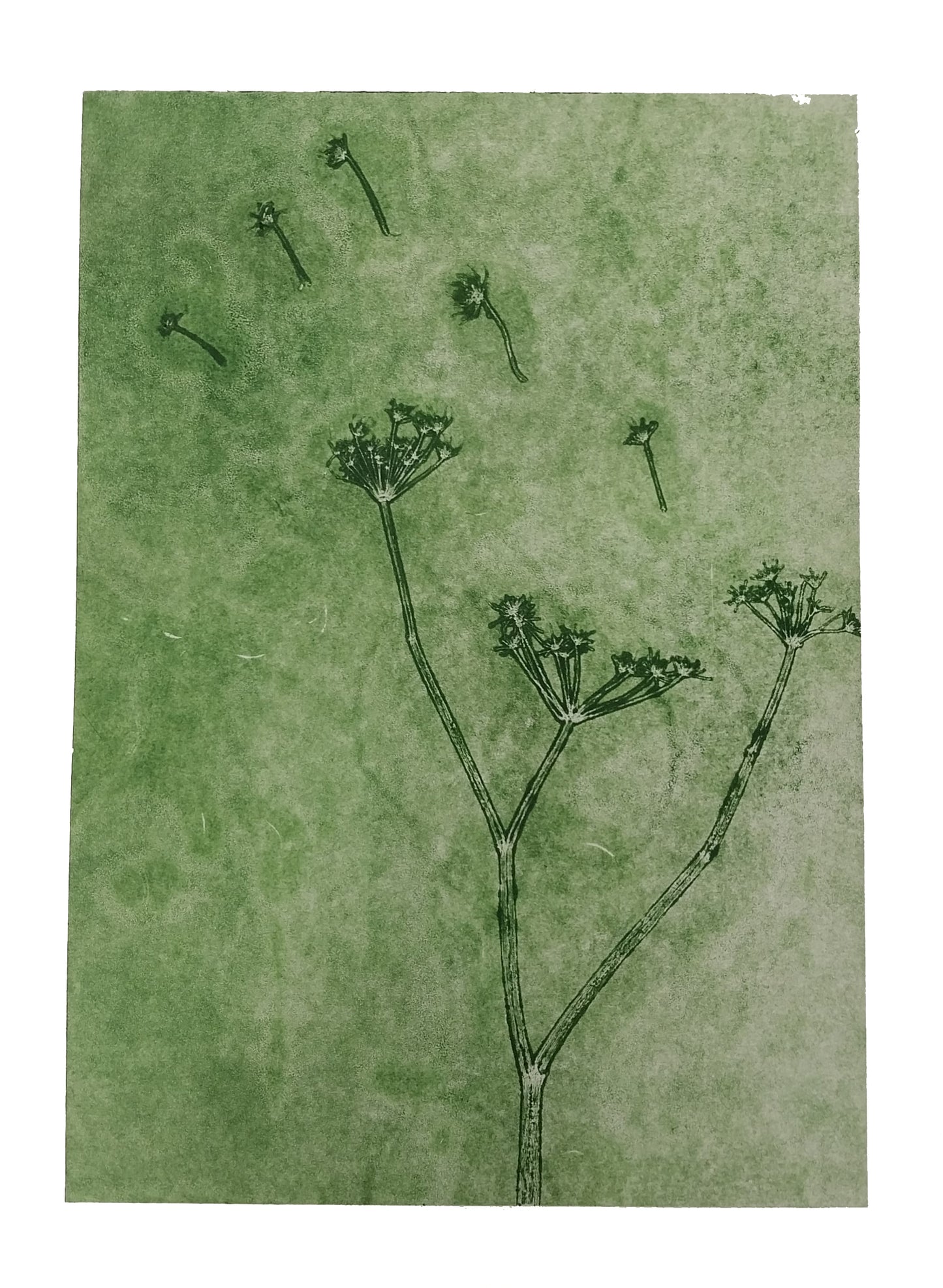 Beginners Found Object Printing - Workshop for Two