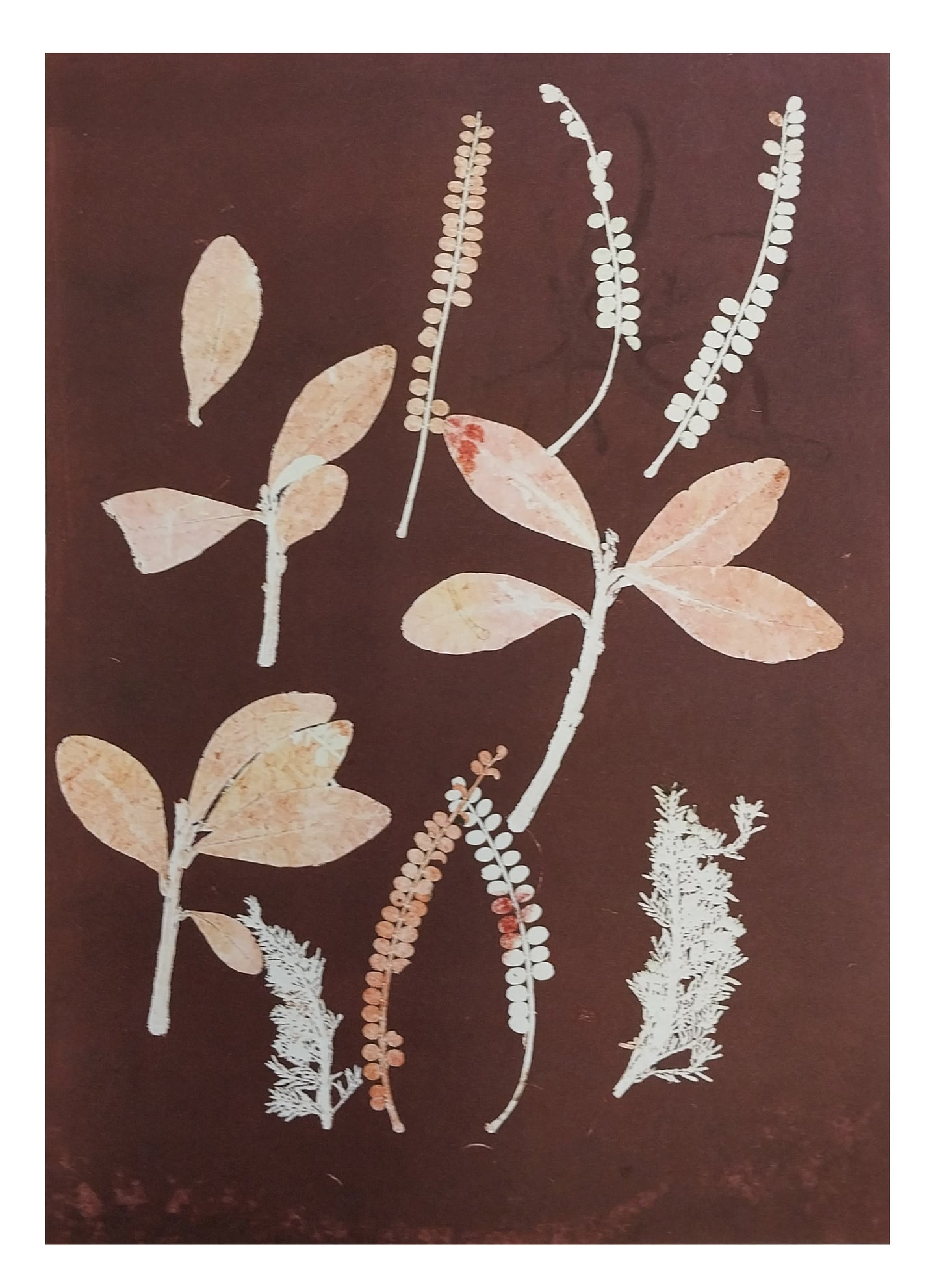 Beginners Found Object Printing - Workshop for Two
