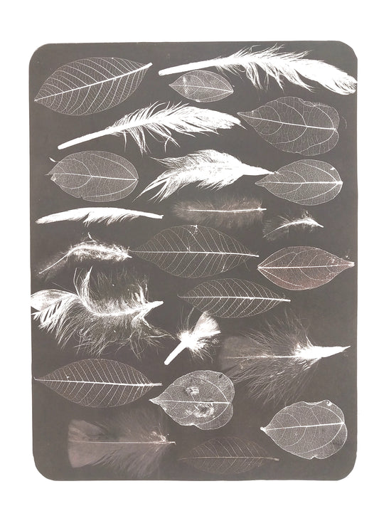 Charcoal Transfer Test