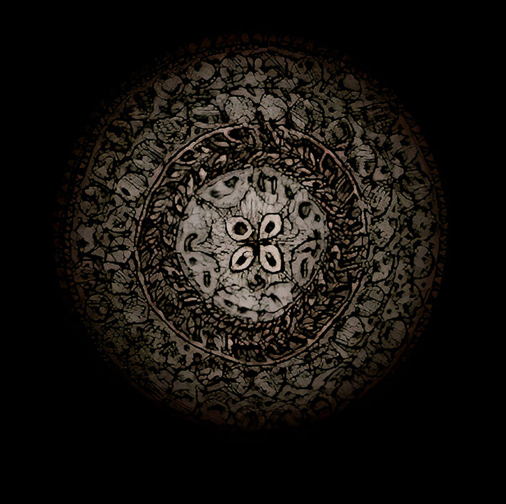 Lapita Tasi by Sheyne Tuffery, Fine art pigment print