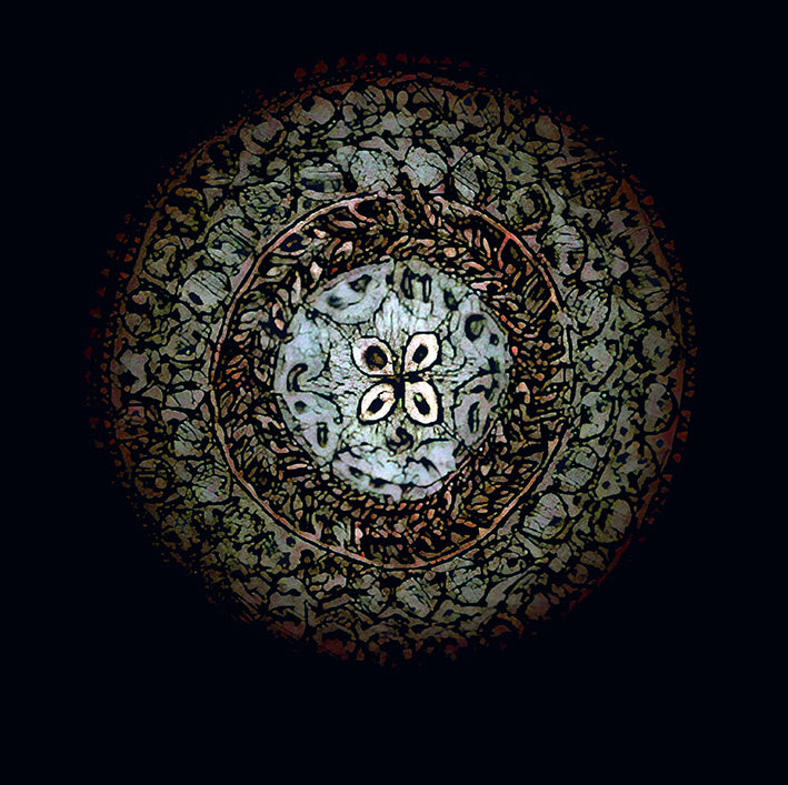 Lapita Tolu by Sheyne Tuffery, Fine art pigment print