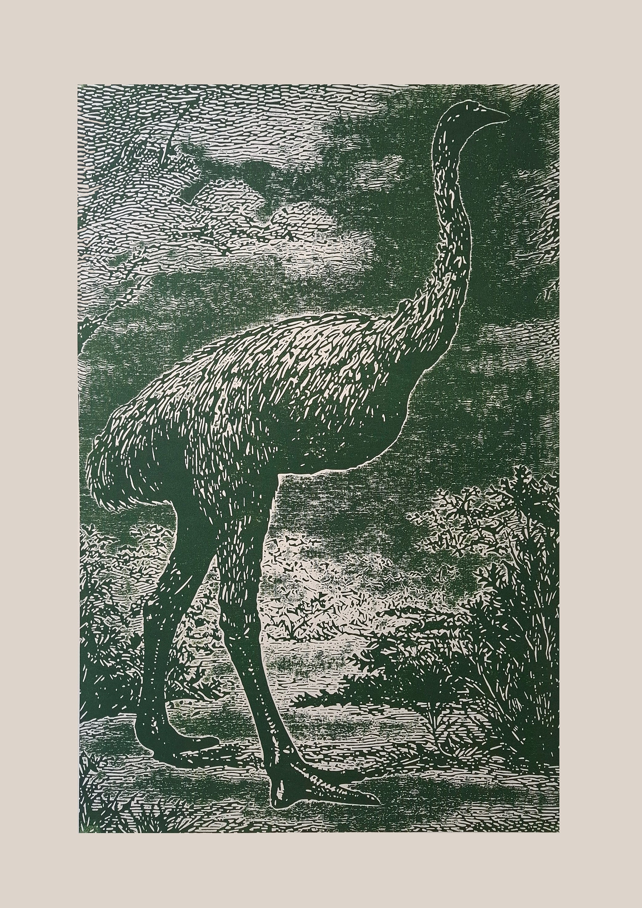 Moa