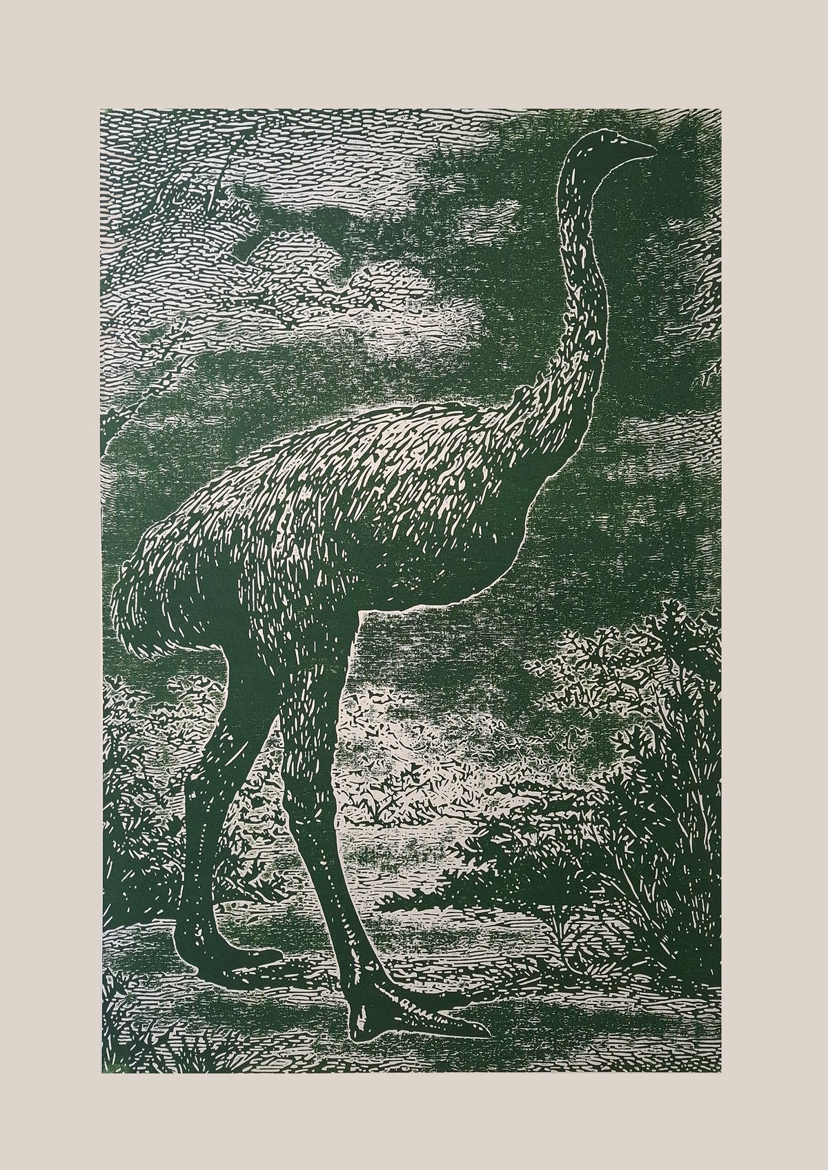 Moa