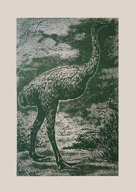 Moa
