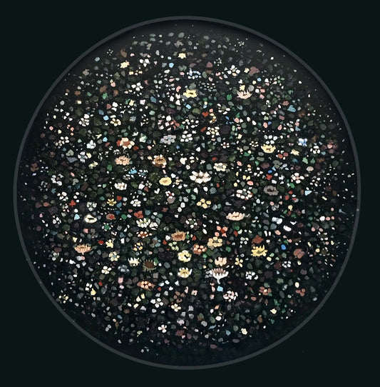 Plankton Orb by Sheyne Tuffery, painting