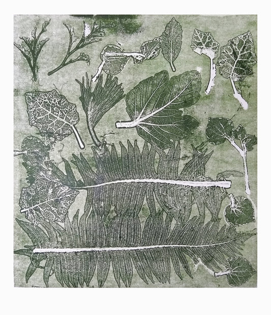 Rangiora , Fig and Fern